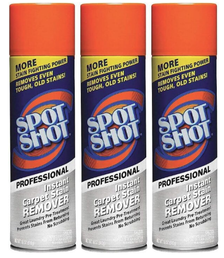 Professional Carpet Stain Remover