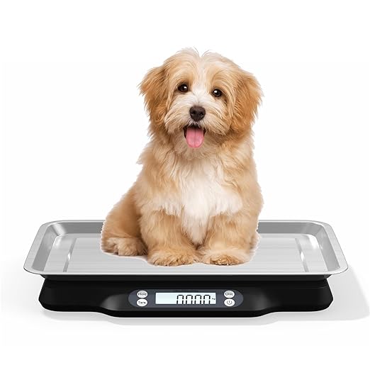 Best Scales for Pets